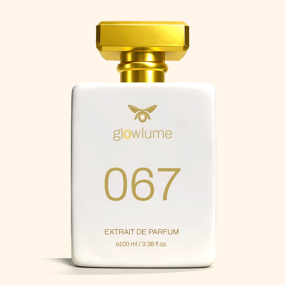 g 067 Inspired by V3rs4ce Pour Homme