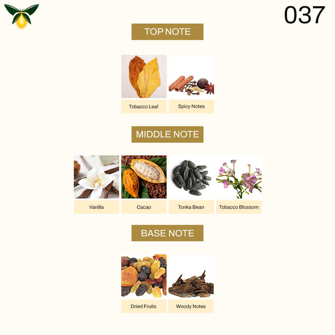 g 037 Inspired by T0m F0rd Tobacco Vanille – Luxe Collection