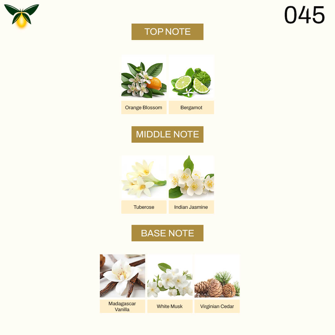 g 013 Inspired by Arm4ni My Way